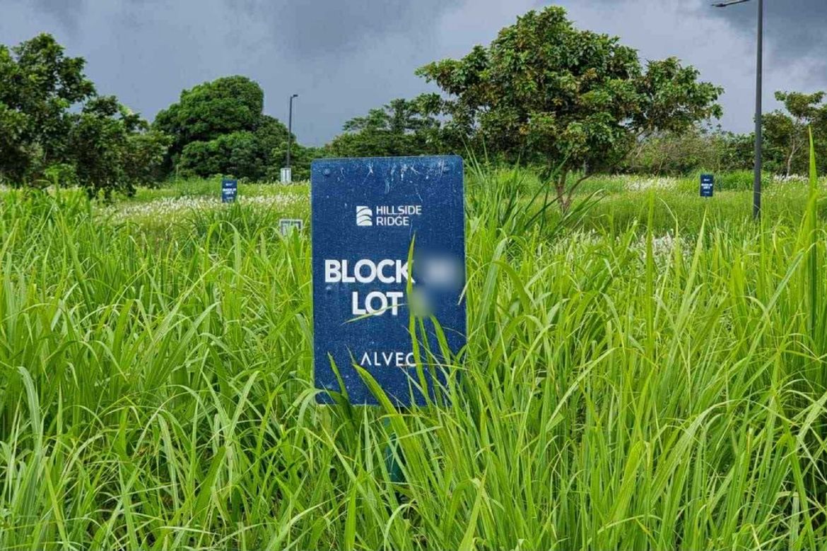 Land for Sale in Munting Ilog, Silang, Cavite – photo 2