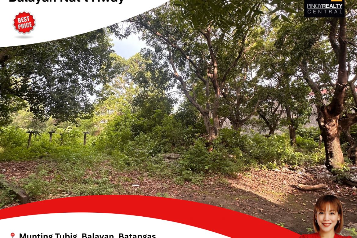 Land for Sale in Munting Tubig, Balayan, Batangas