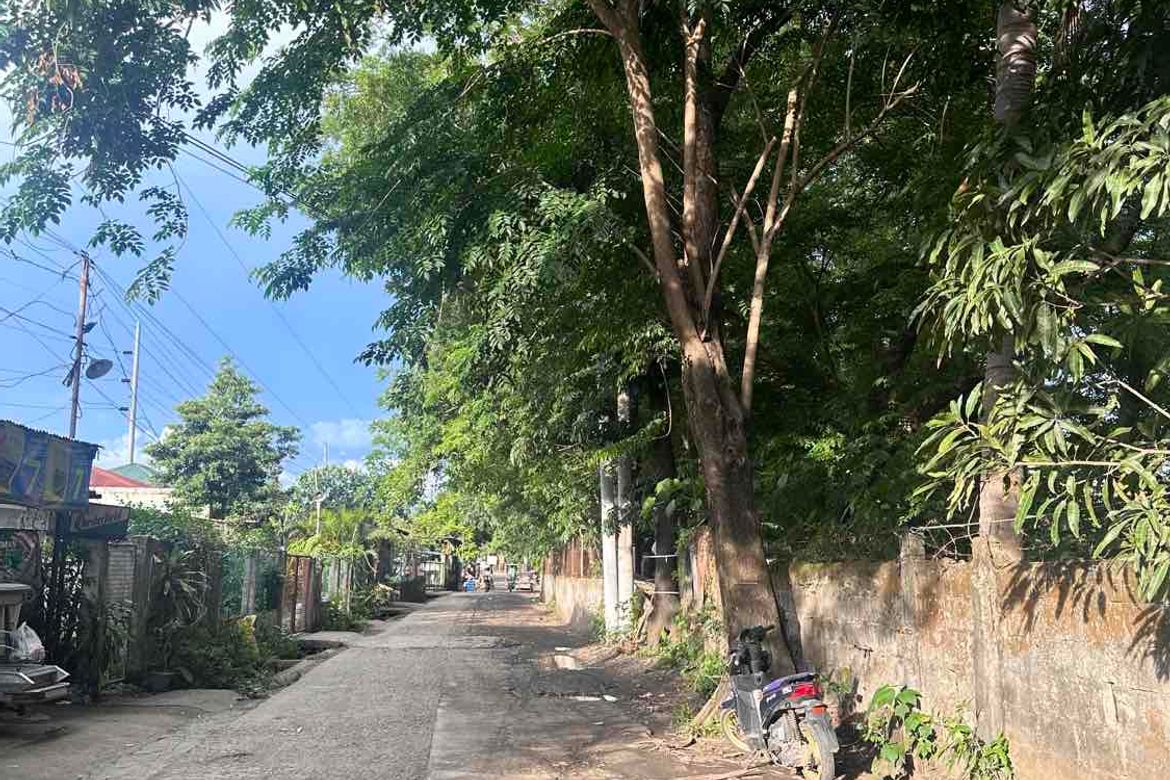 Land for Sale in Munting Tubig, Balayan, Batangas – photo 3