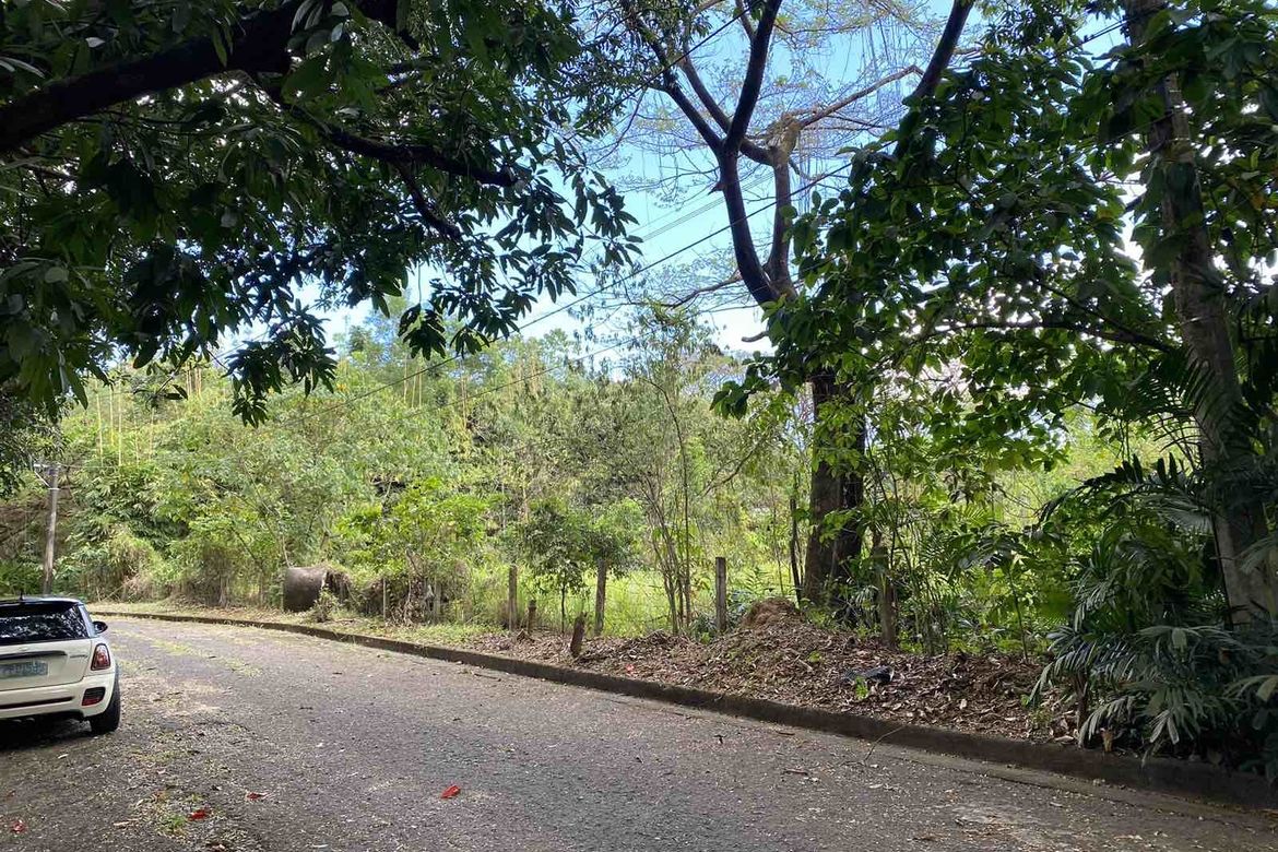 Land for Sale in Muntingdilaw, Antipolo, Rizal – photo 4