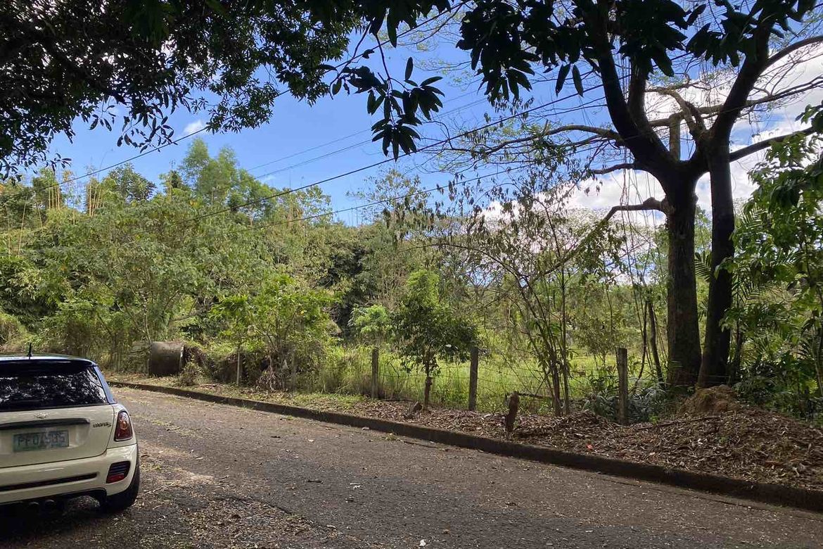 Land for Sale in Muntingdilaw, Antipolo, Rizal – photo 5