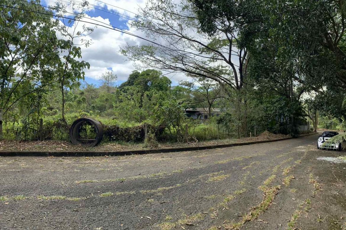 Land for Sale in Muntingdilaw, Antipolo, Rizal – photo 6