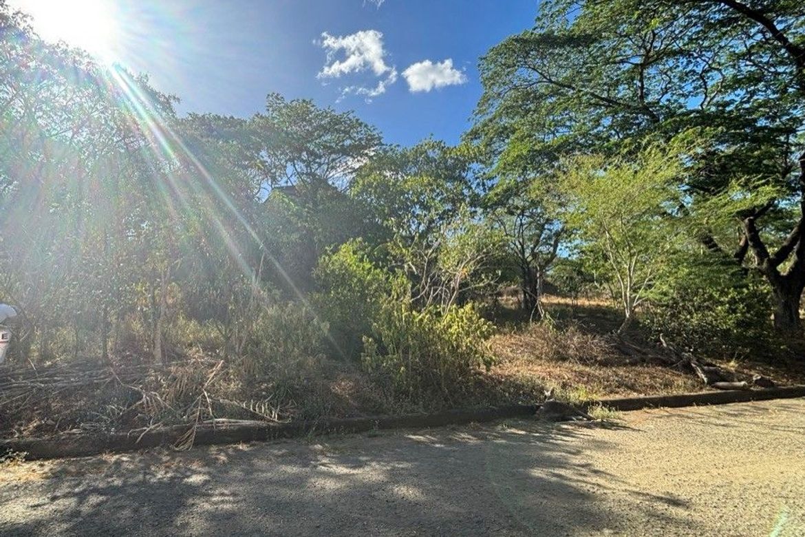 Land for Sale in Muntingdilaw, Antipolo, Rizal – photo 2