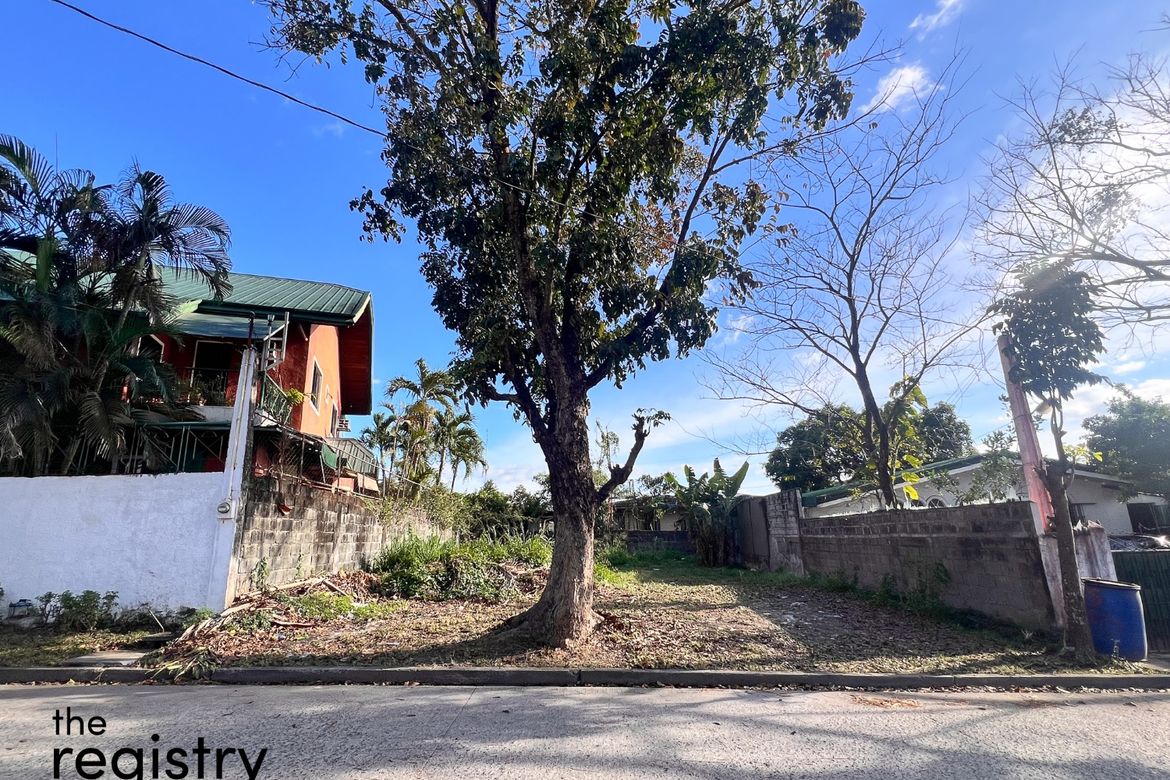 Land for Sale in Muntingdilaw, Antipolo, Rizal – photo 3
