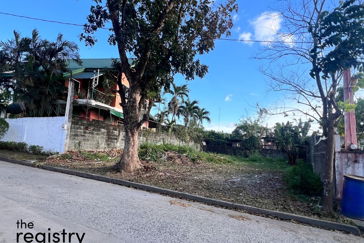 Land for Sale in Muntingdilaw, Antipolo, Rizal – photo 5