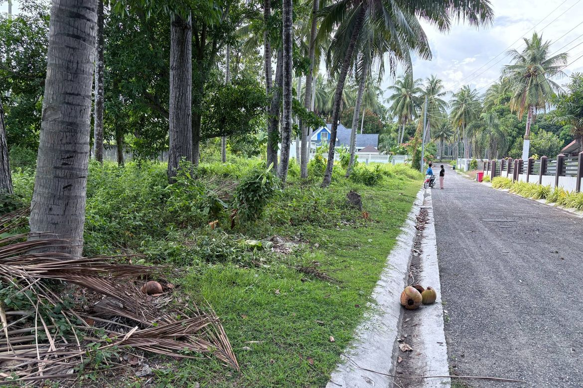 Land for Sale in Nabago, Zamboanguita, Negros Oriental