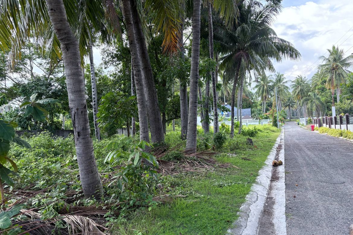 Land for Sale in Nabago, Zamboanguita, Negros Oriental – photo 2