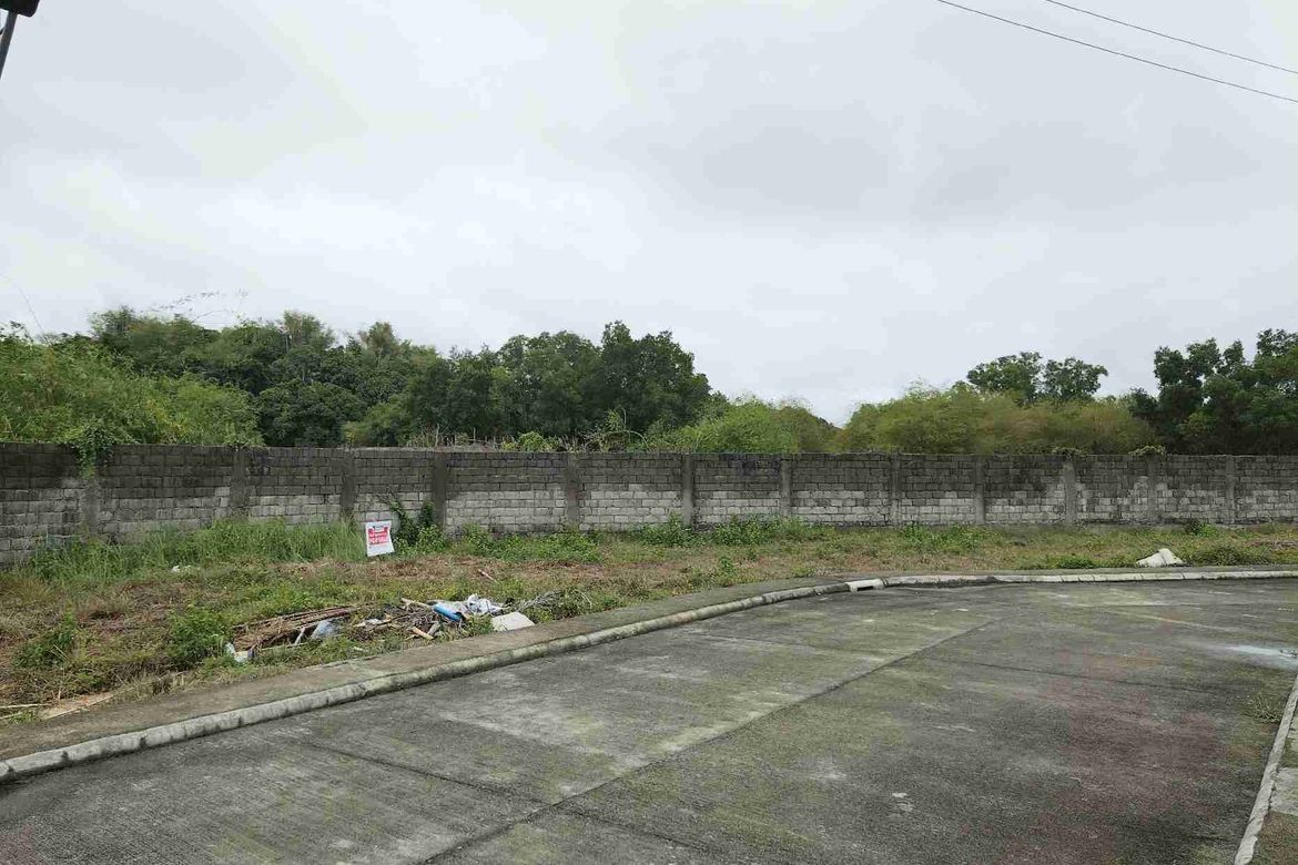 Land for Sale in Nagbalayong, Morong, Bataan – photo 5