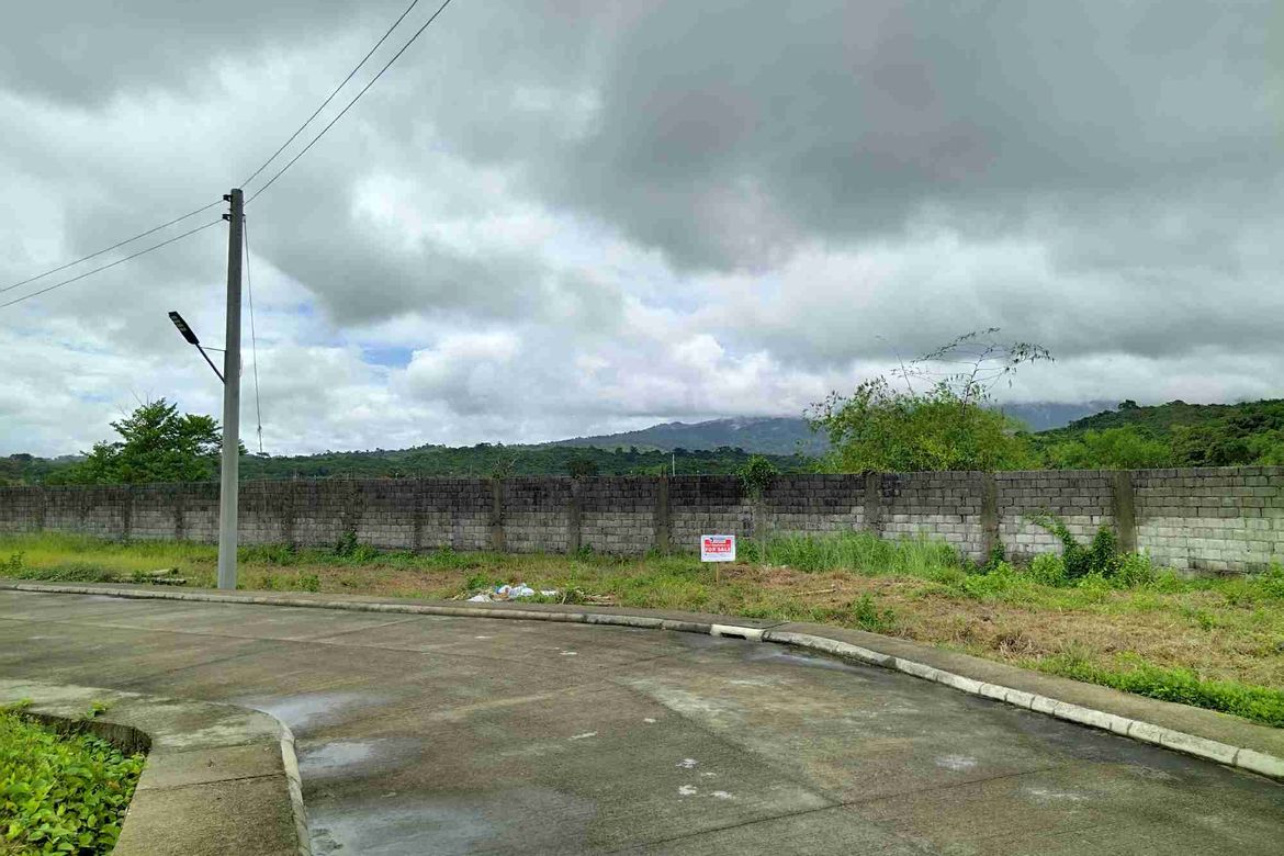 Land for Sale in Nagbalayong, Morong, Bataan – photo 8