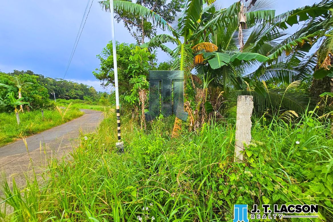 Land for Sale in Naiba, San Jose, Negros Oriental