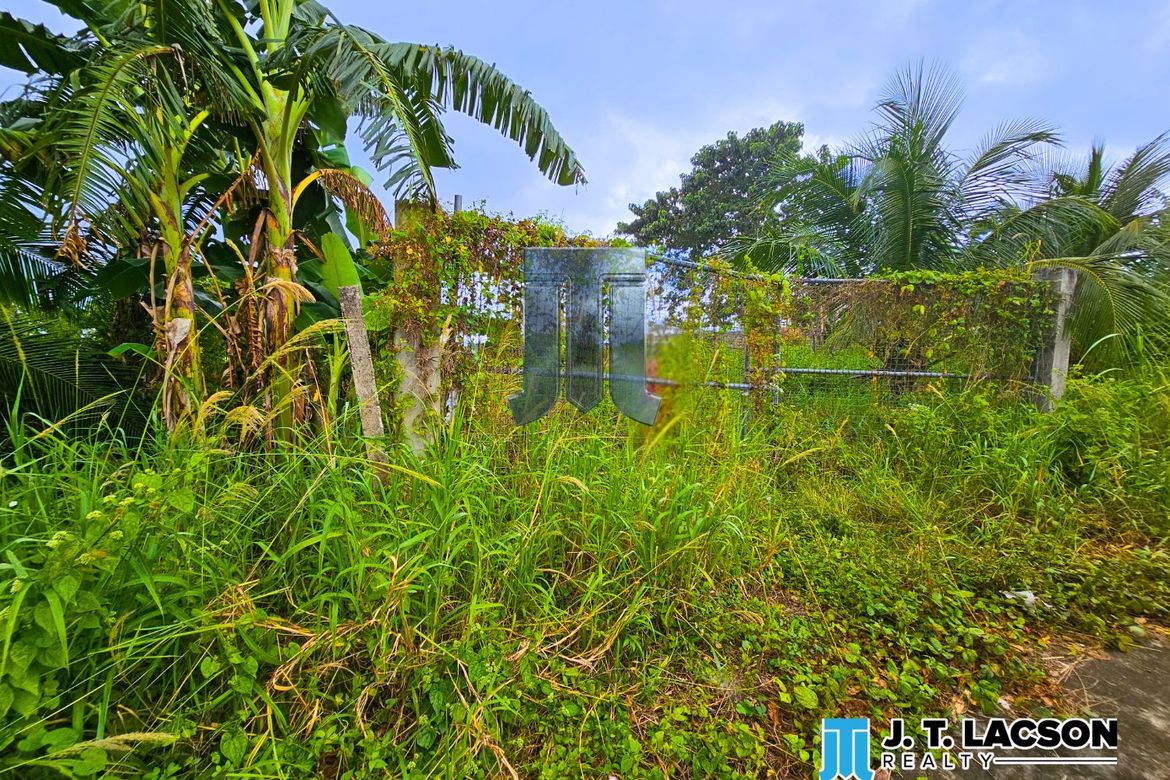 Land for Sale in Naiba, San Jose, Negros Oriental – photo 2