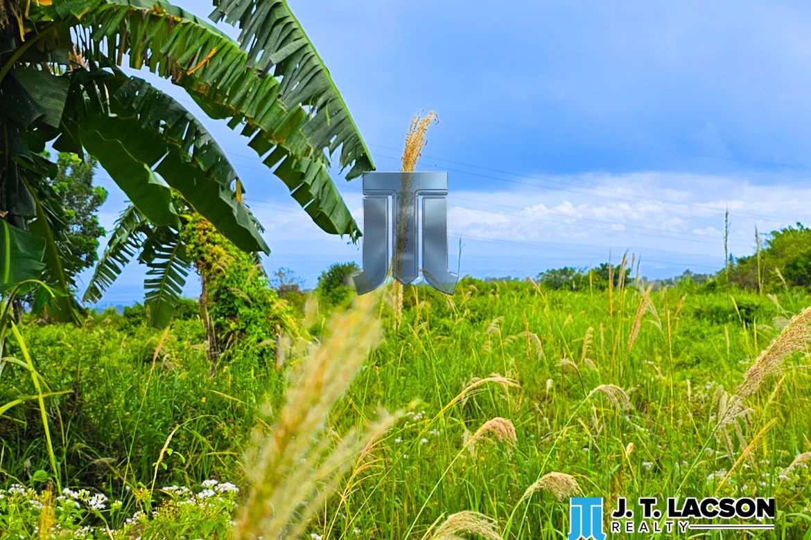 Land for Sale in Naiba, San Jose, Negros Oriental – photo 4