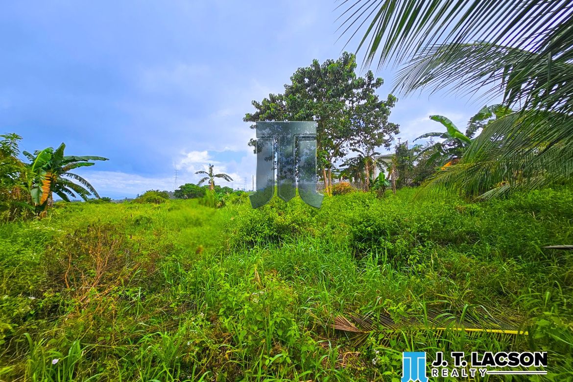 Land for Sale in Naiba, San Jose, Negros Oriental – photo 5