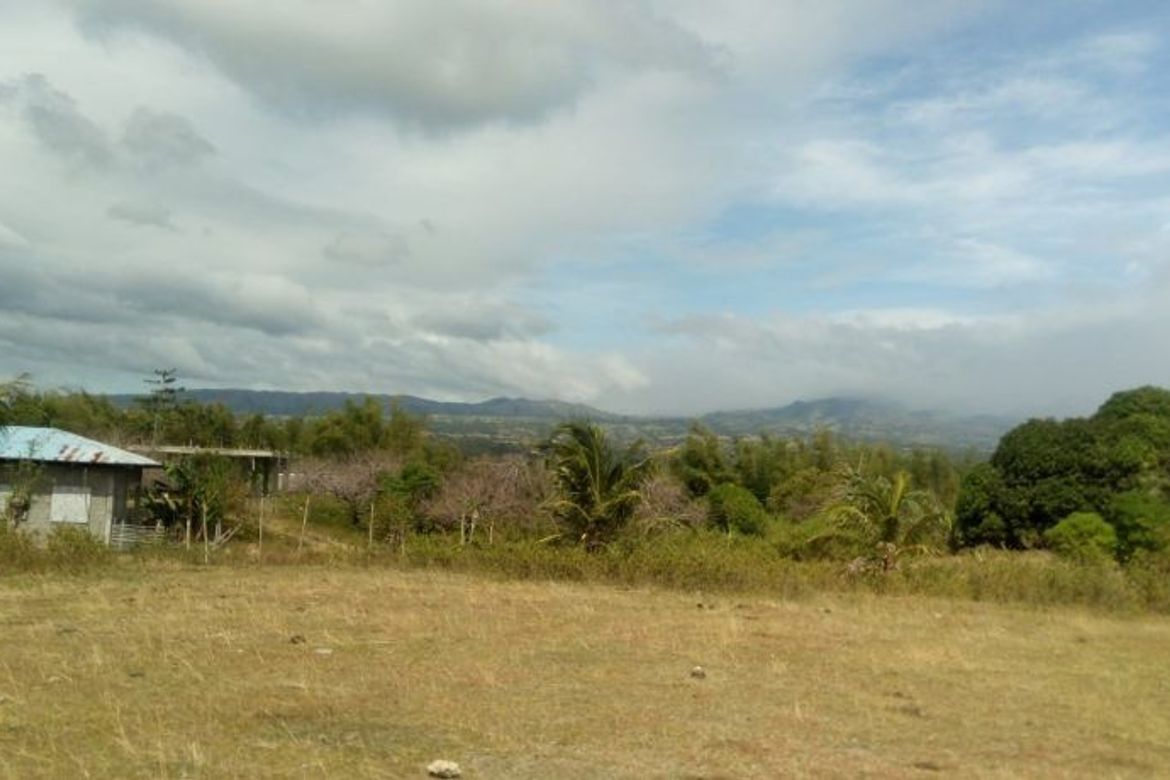 Land for Sale in Najandig, Zamboanguita, Negros Oriental
