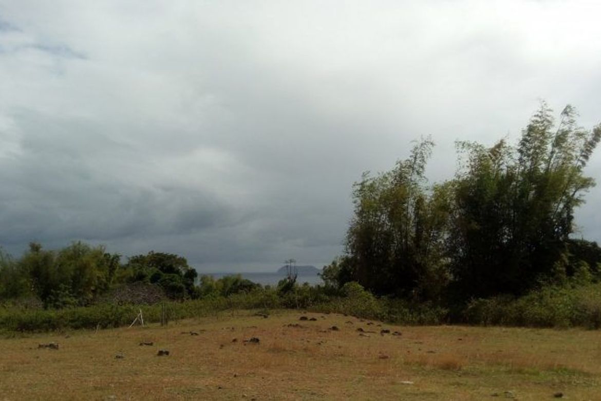 Land for Sale in Najandig, Zamboanguita, Negros Oriental – photo 2
