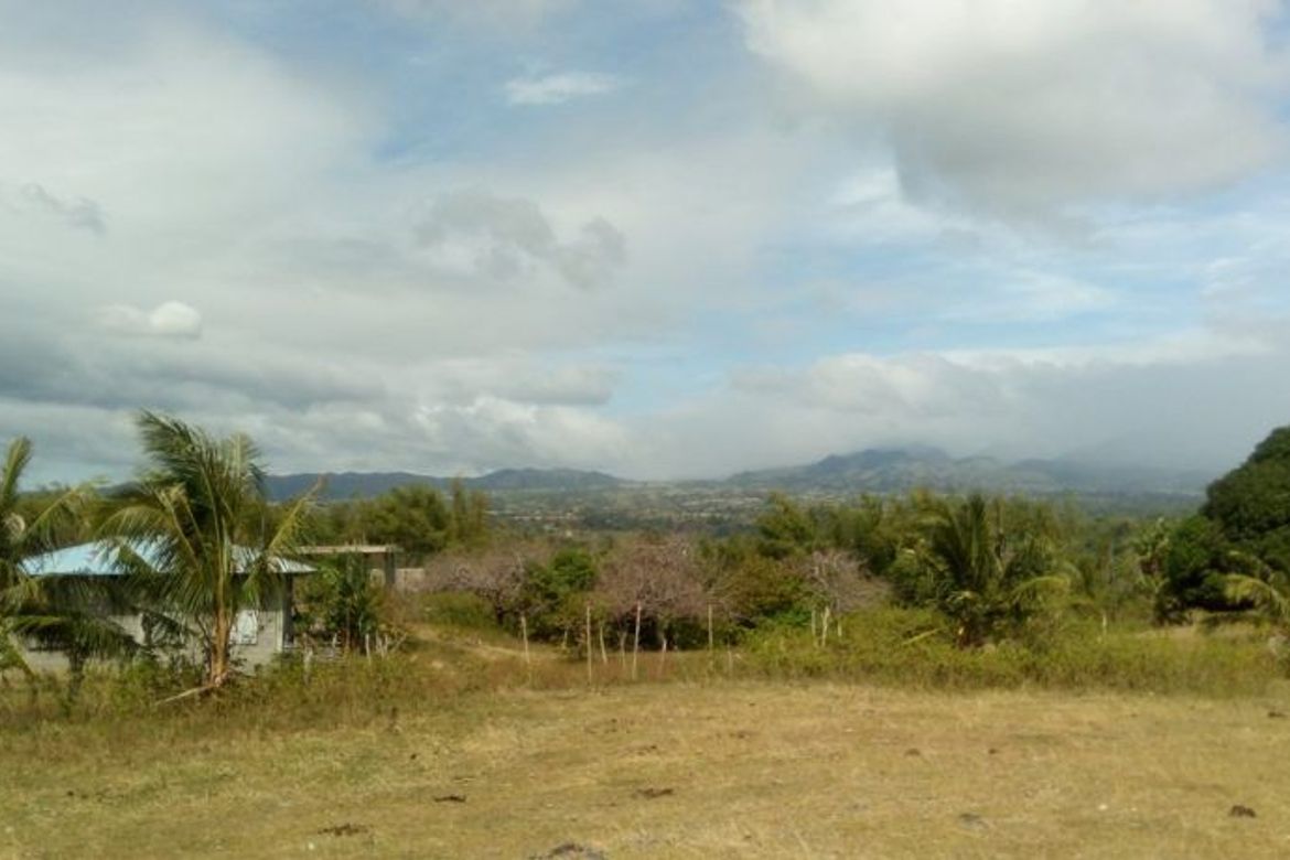 Land for Sale in Najandig, Zamboanguita, Negros Oriental – photo 4