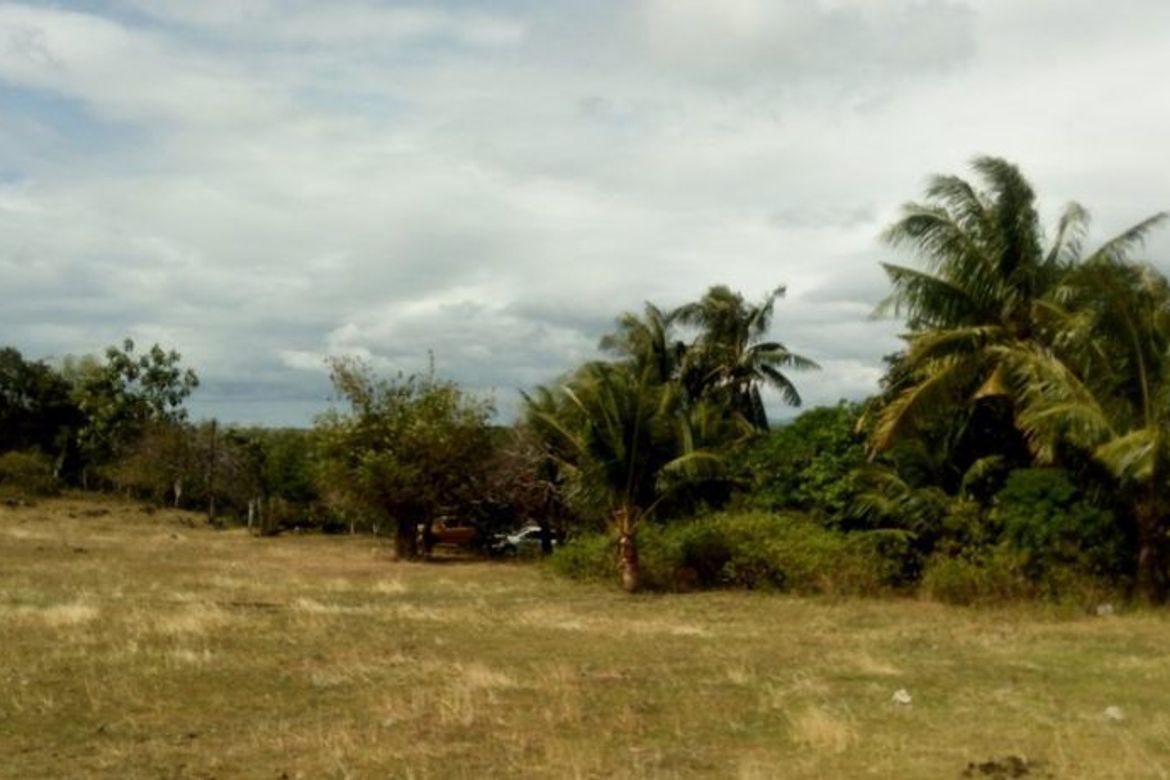 Land for Sale in Najandig, Zamboanguita, Negros Oriental – photo 6