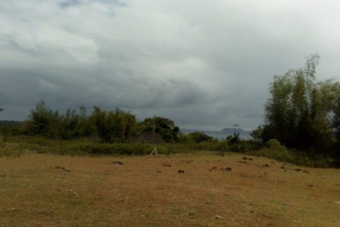 Land for Sale in Najandig, Zamboanguita, Negros Oriental – photo 7