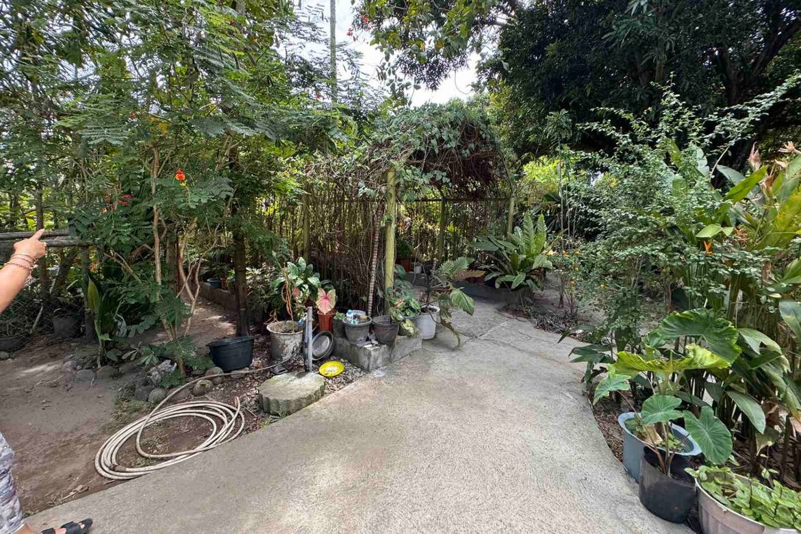 Land for Sale in Najandig, Zamboanguita, Negros Oriental – photo 8