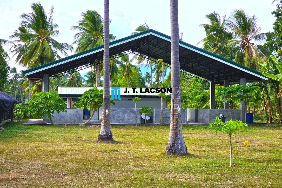 Land for Sale in Najandig, Zamboanguita, Negros Oriental – photo 2