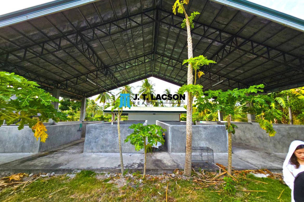Land for Sale in Najandig, Zamboanguita, Negros Oriental – photo 3