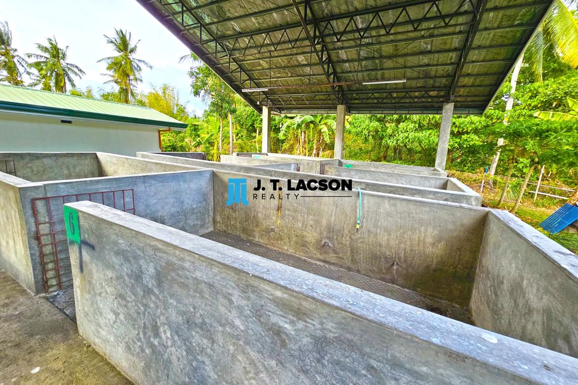 Land for Sale in Najandig, Zamboanguita, Negros Oriental – photo 5