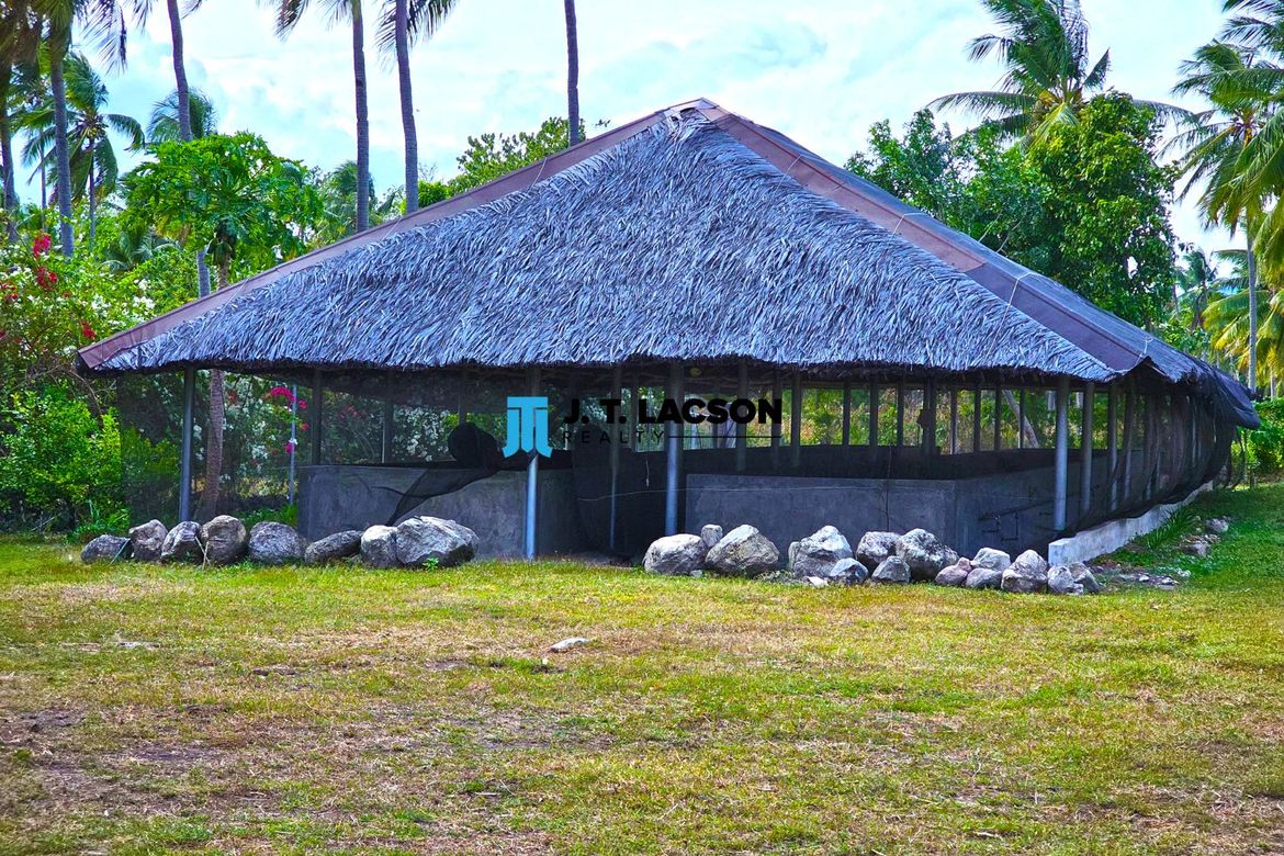 Land for Sale in Najandig, Zamboanguita, Negros Oriental – photo 8