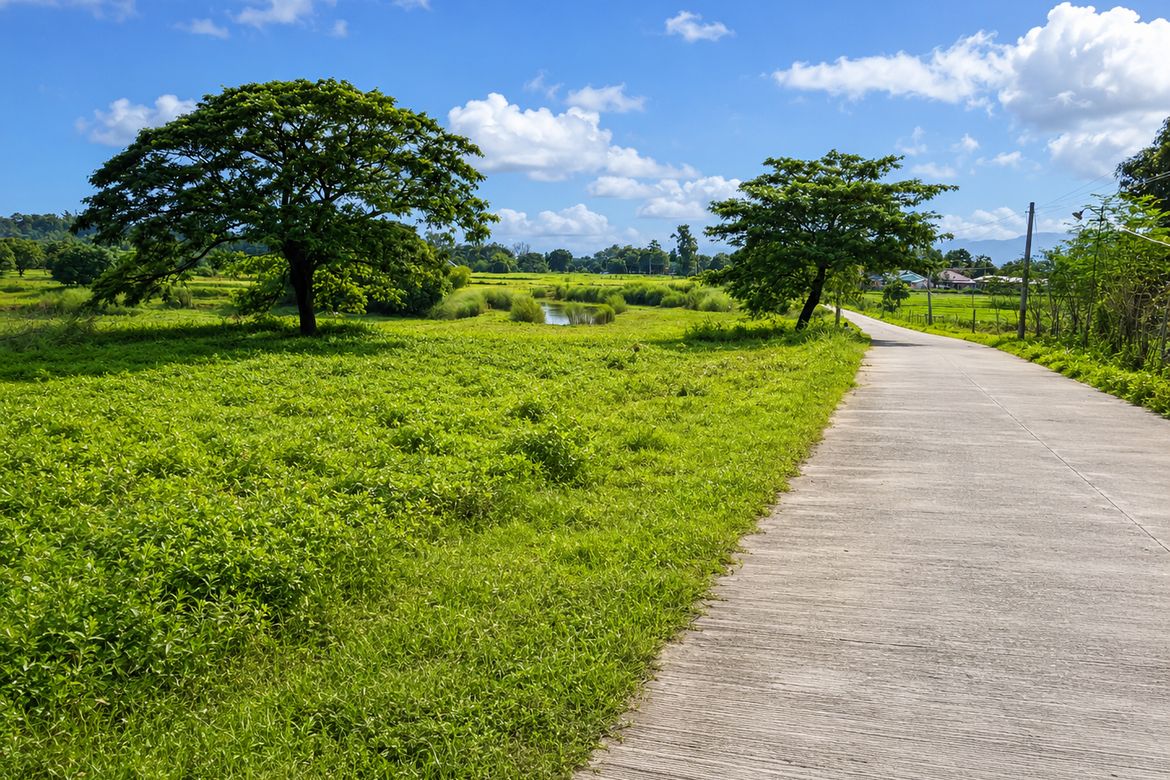 Land for Sale in Nambalan, Santa Ignacia, Tarlac – photo 3