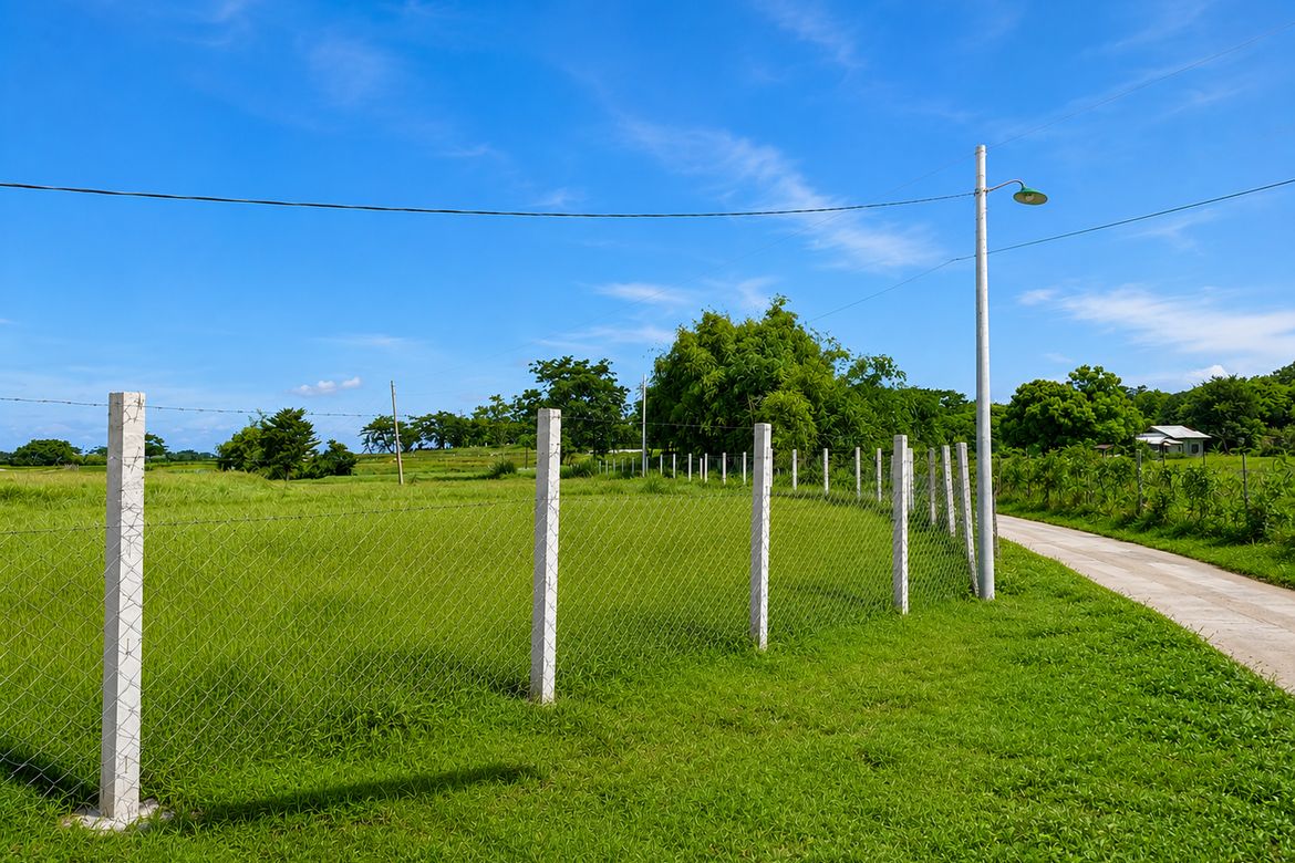 Land for Sale in Nambalan, Santa Ignacia, Tarlac – photo 4