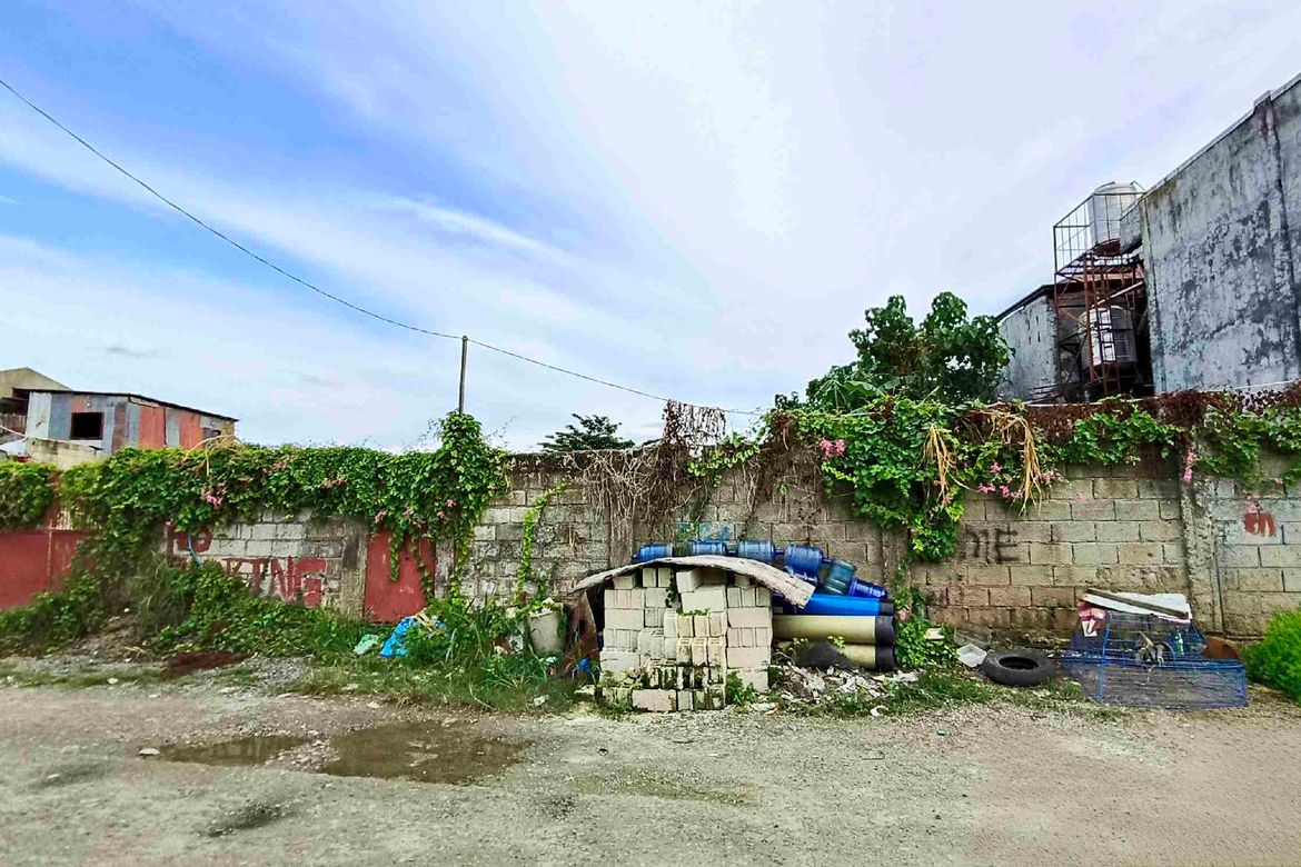 Land for Sale in Nangka, Consolacion, Cebu – photo 2