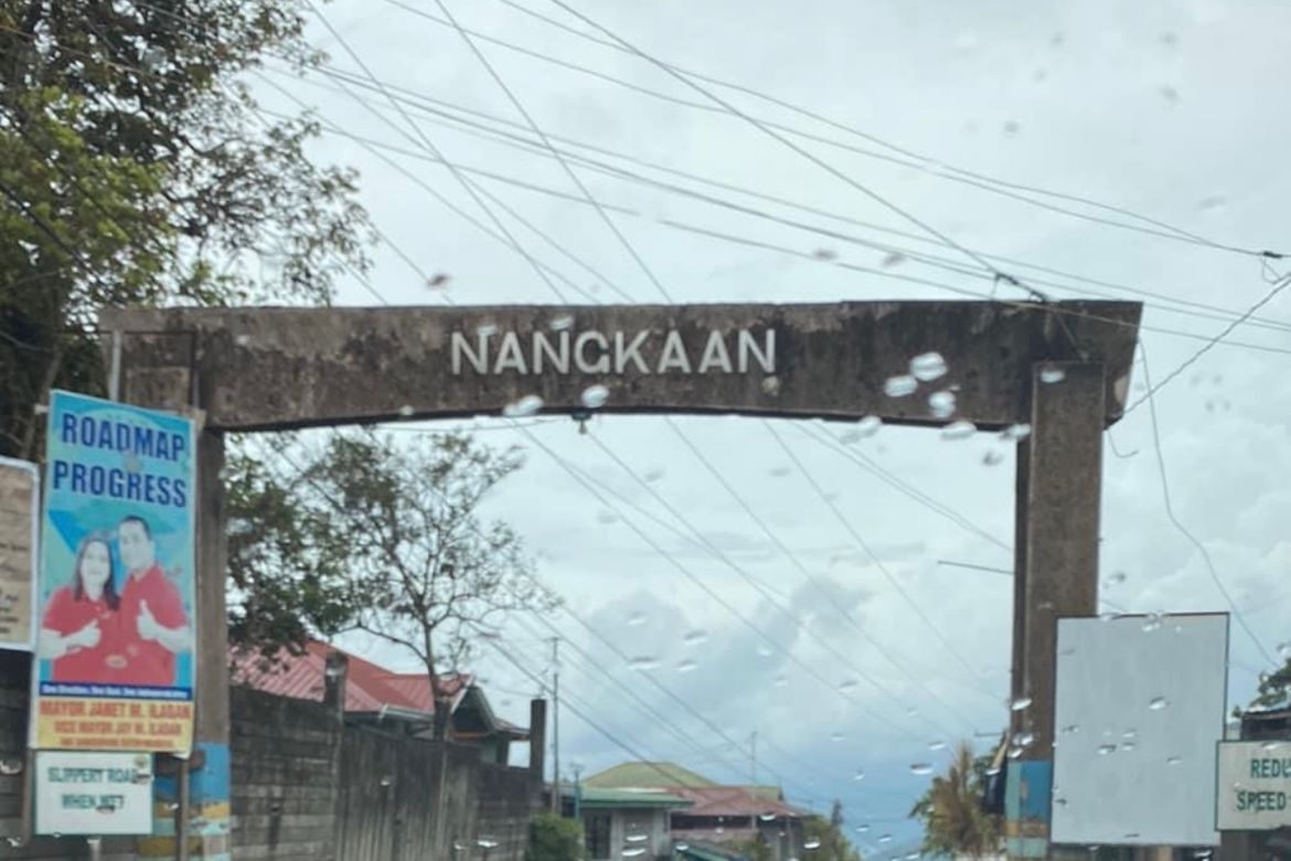 Land for Sale in Nangkaan, Mataas na Kahoy, Batangas – photo 4