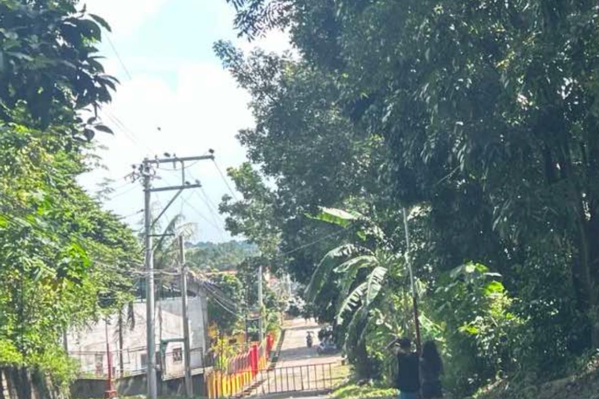 Land for Sale in Natatas, Tanauan, Batangas – photo 3