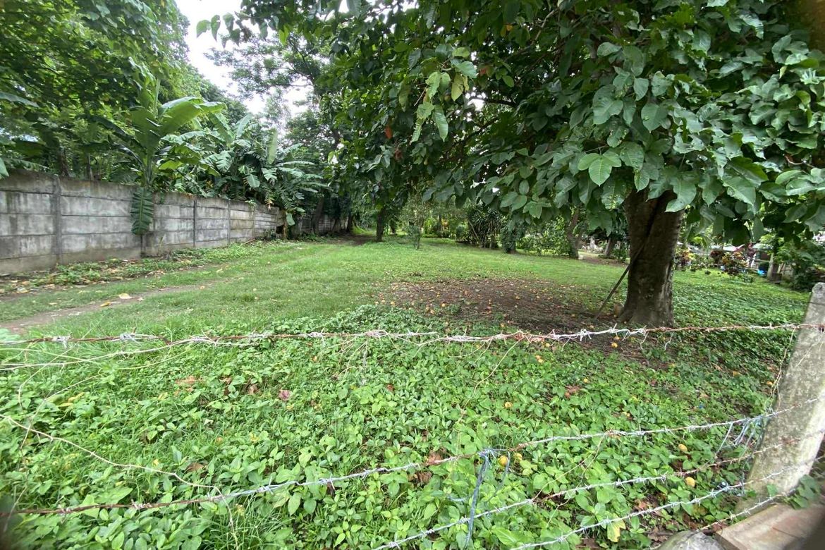 Land for Sale in Natatas, Tanauan, Batangas – photo 2