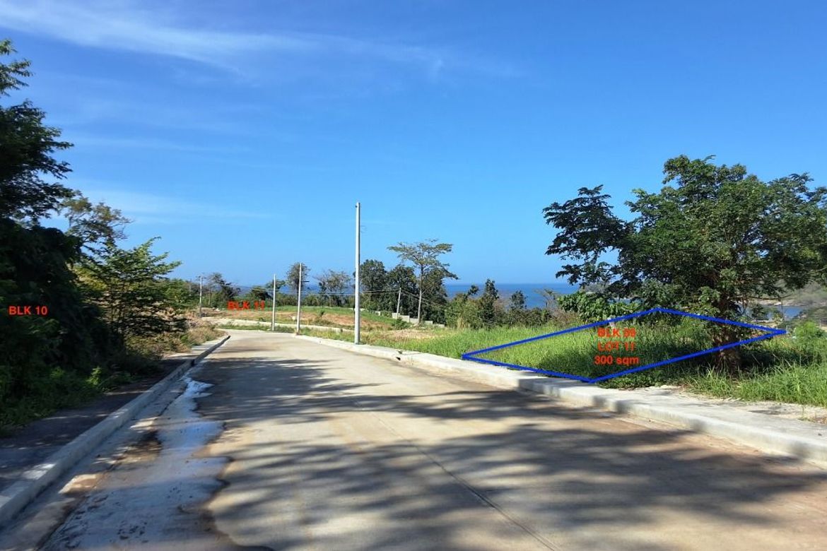 Land for Sale in Natipuan, Nasugbu, Batangas – photo 3