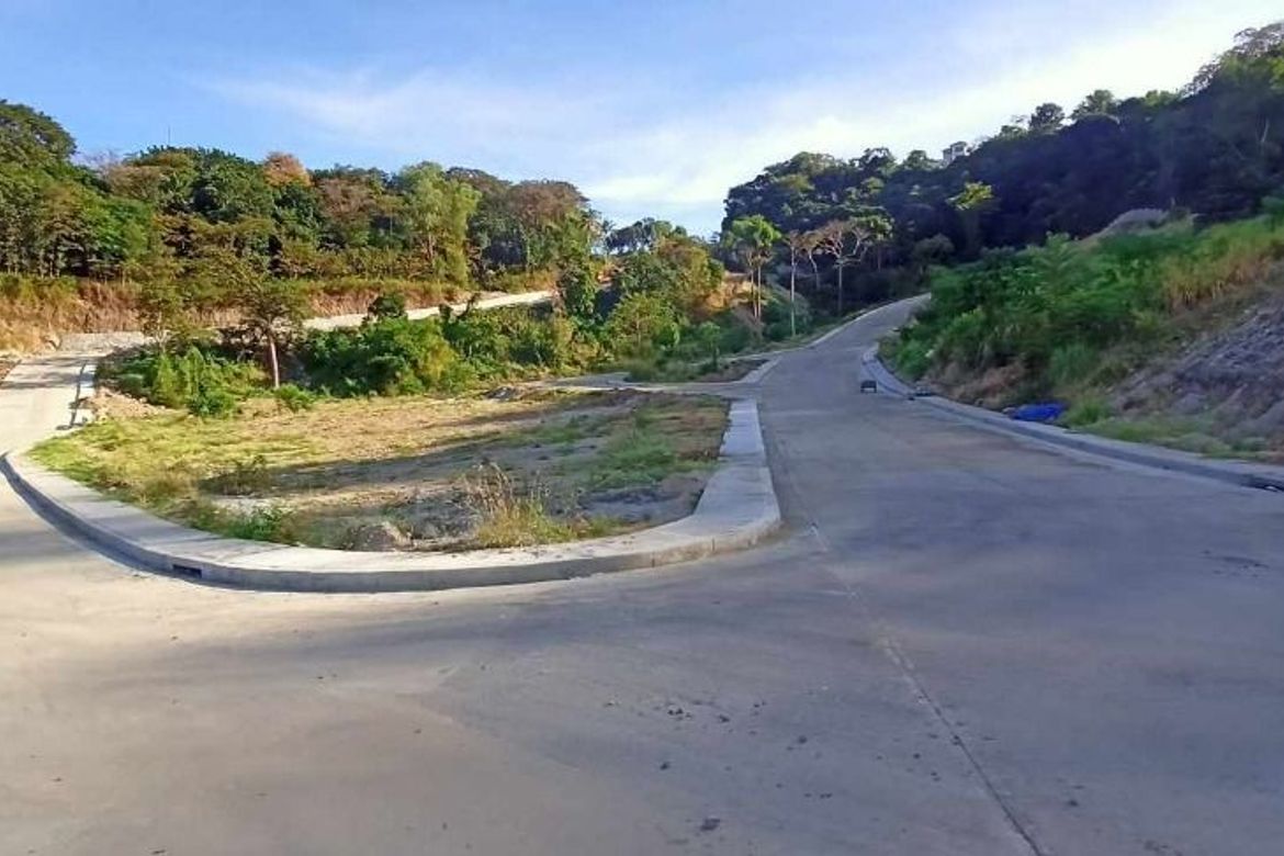 Land for Sale in Natipuan, Nasugbu, Batangas – photo 4