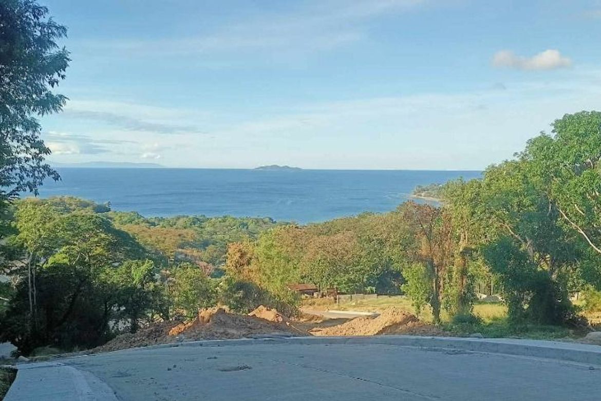 Land for Sale in Natipuan, Nasugbu, Batangas – photo 6