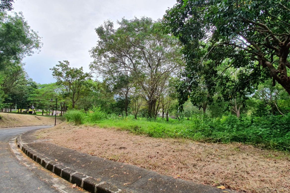 Land for Sale in Natipuan, Nasugbu, Batangas – photo 4