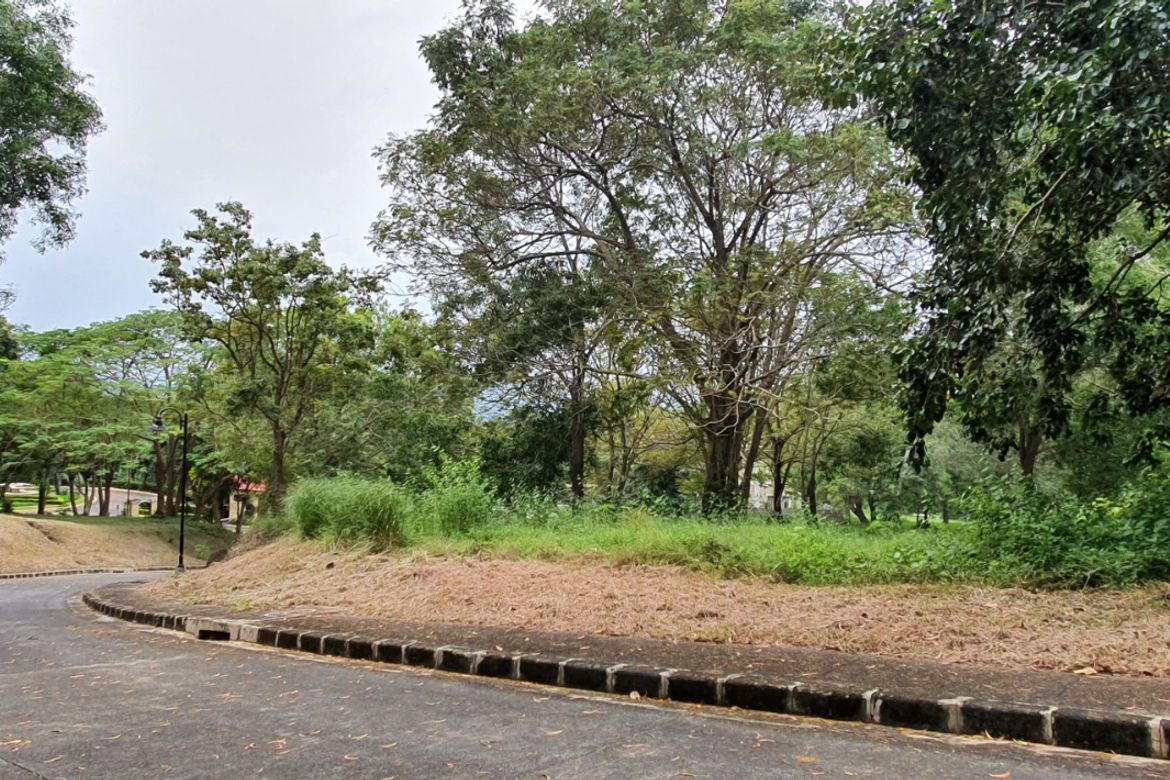 Land for Sale in Natipuan, Nasugbu, Batangas – photo 5