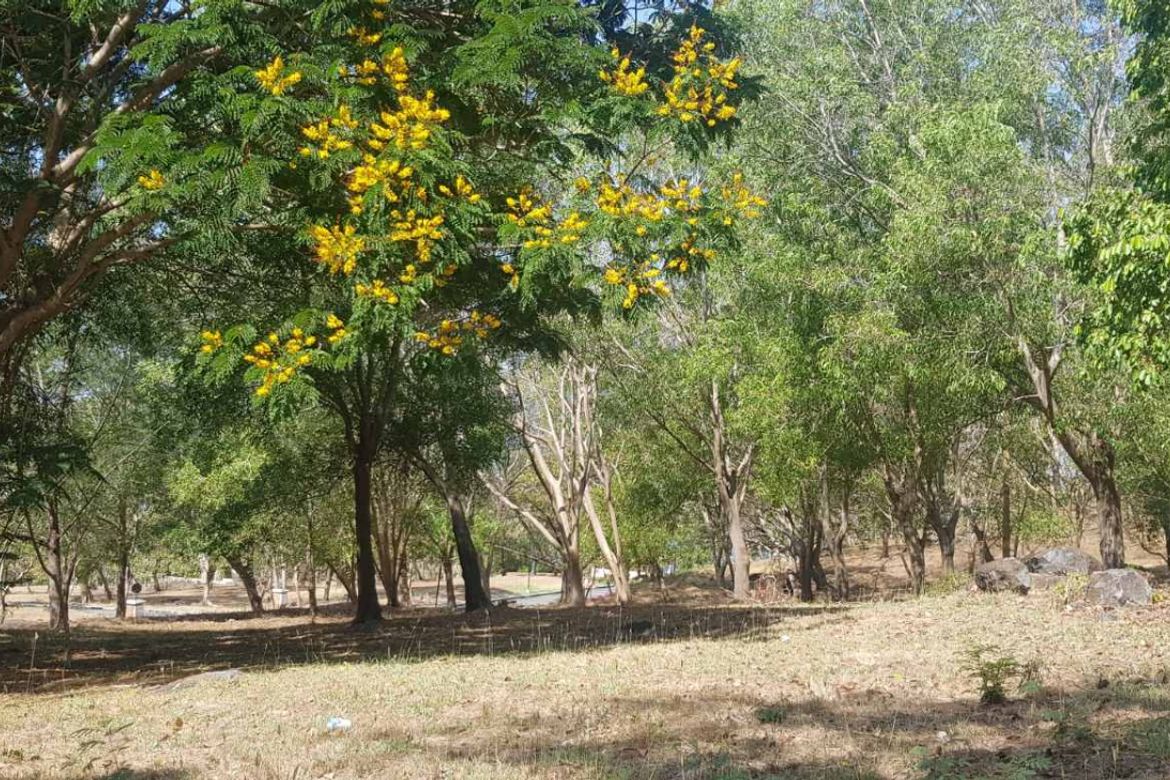 Land for Sale in Natipuan, Nasugbu, Batangas – photo 6