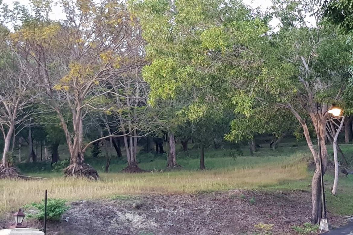 Land for Sale in Natipuan, Nasugbu, Batangas – photo 7