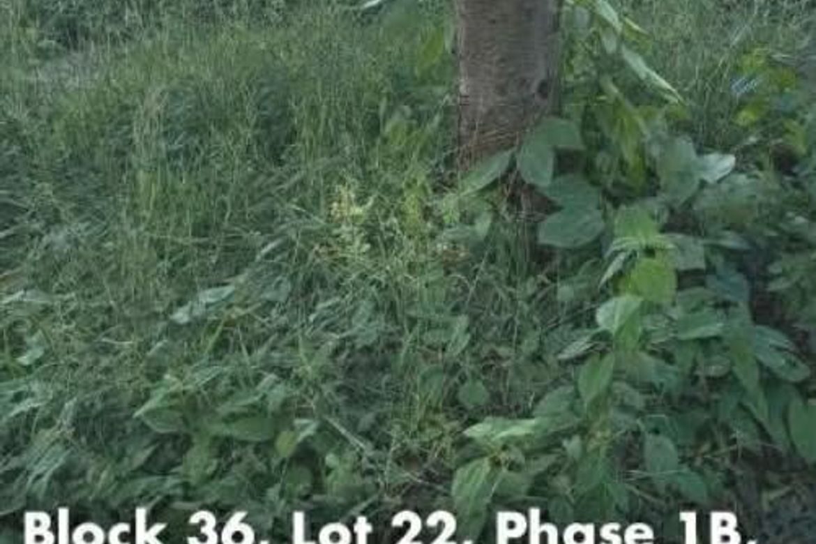 Land for Sale in Natipuan, Nasugbu, Batangas – photo 3