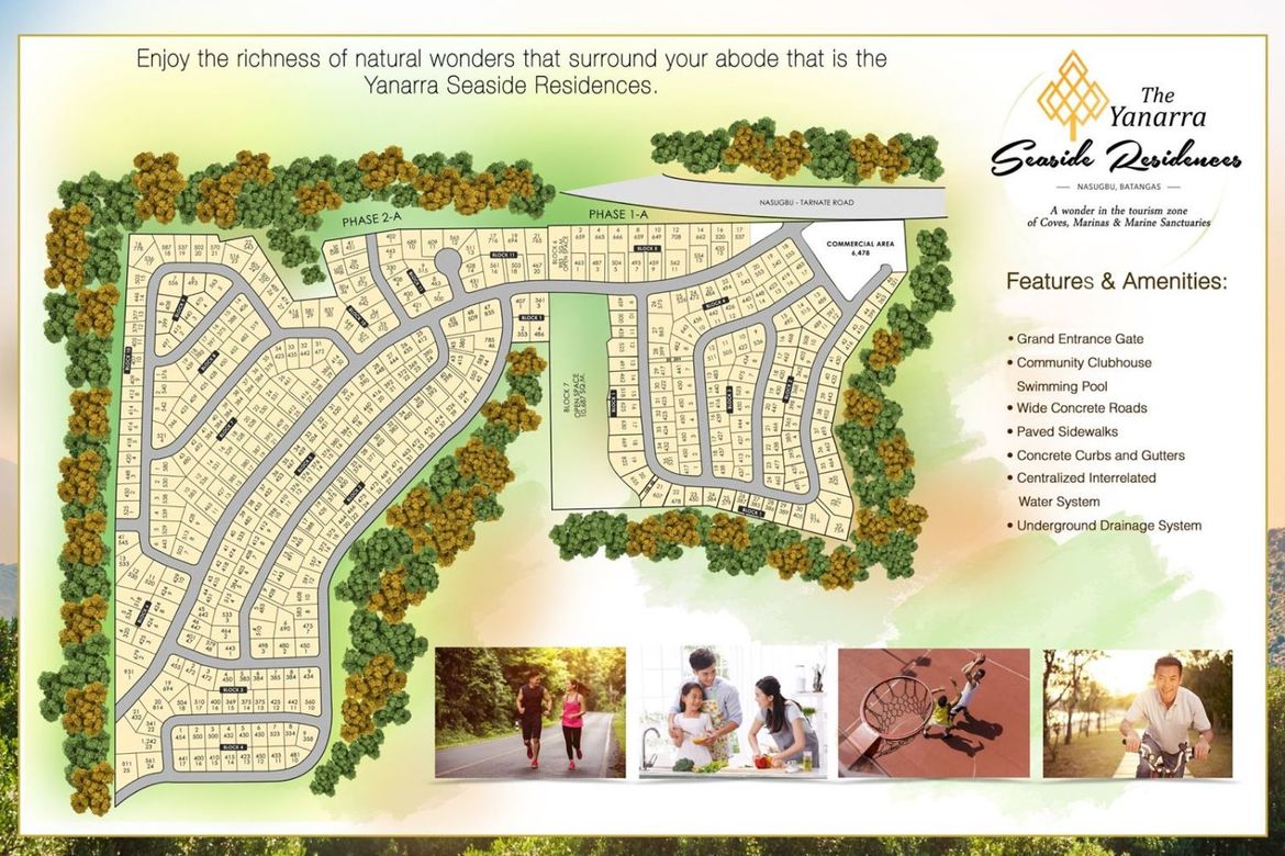 Land for Sale in Natipuan, Nasugbu, Batangas – photo 5
