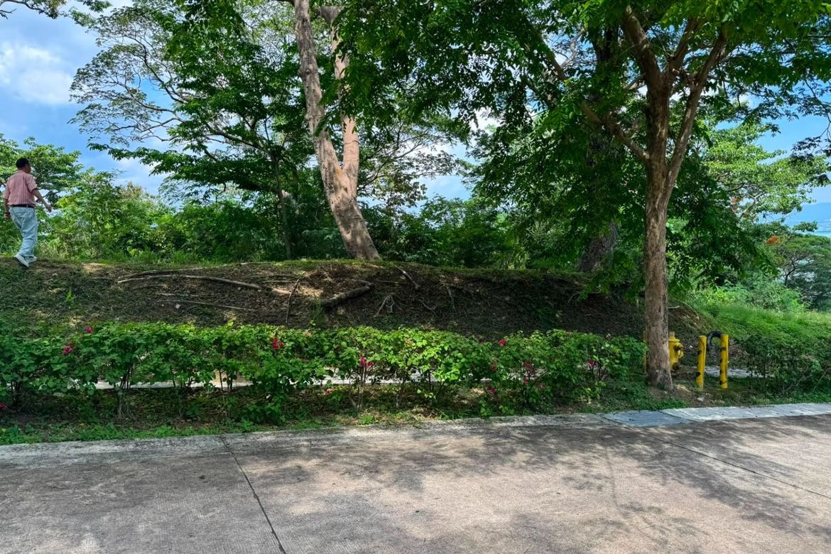 Land for Sale in Natipuan, Nasugbu, Batangas