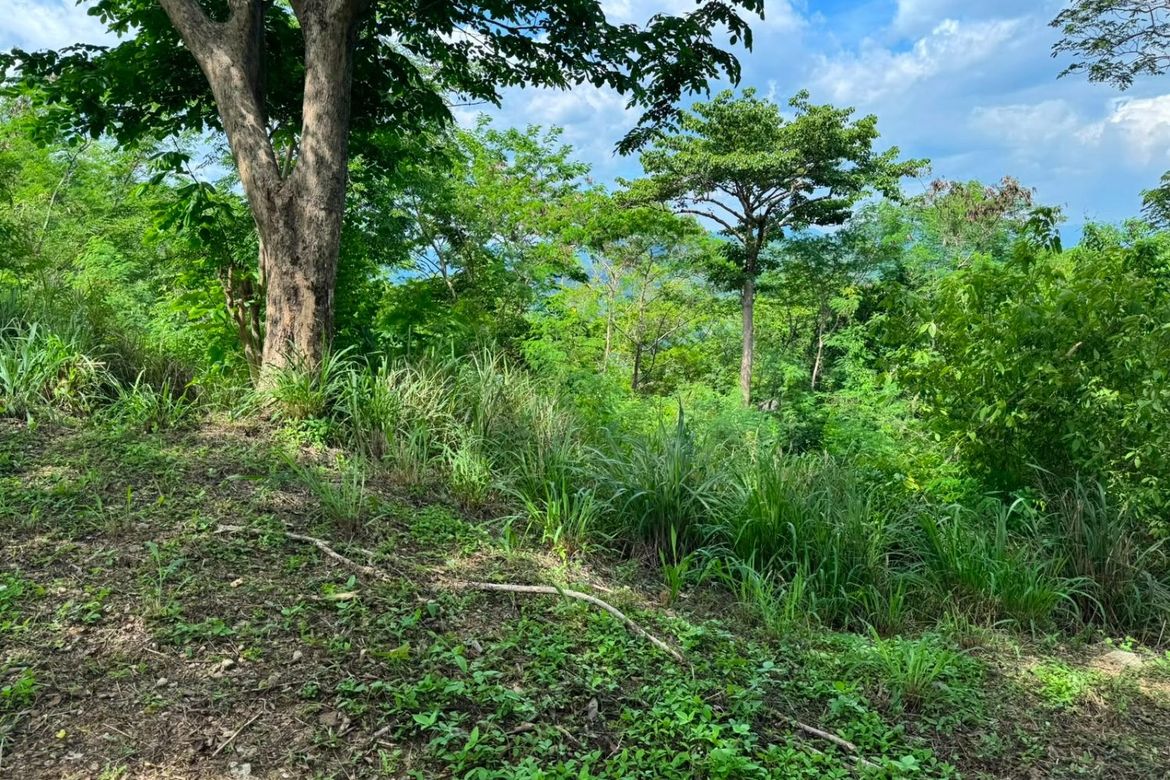 Land for Sale in Natipuan, Nasugbu, Batangas – photo 2