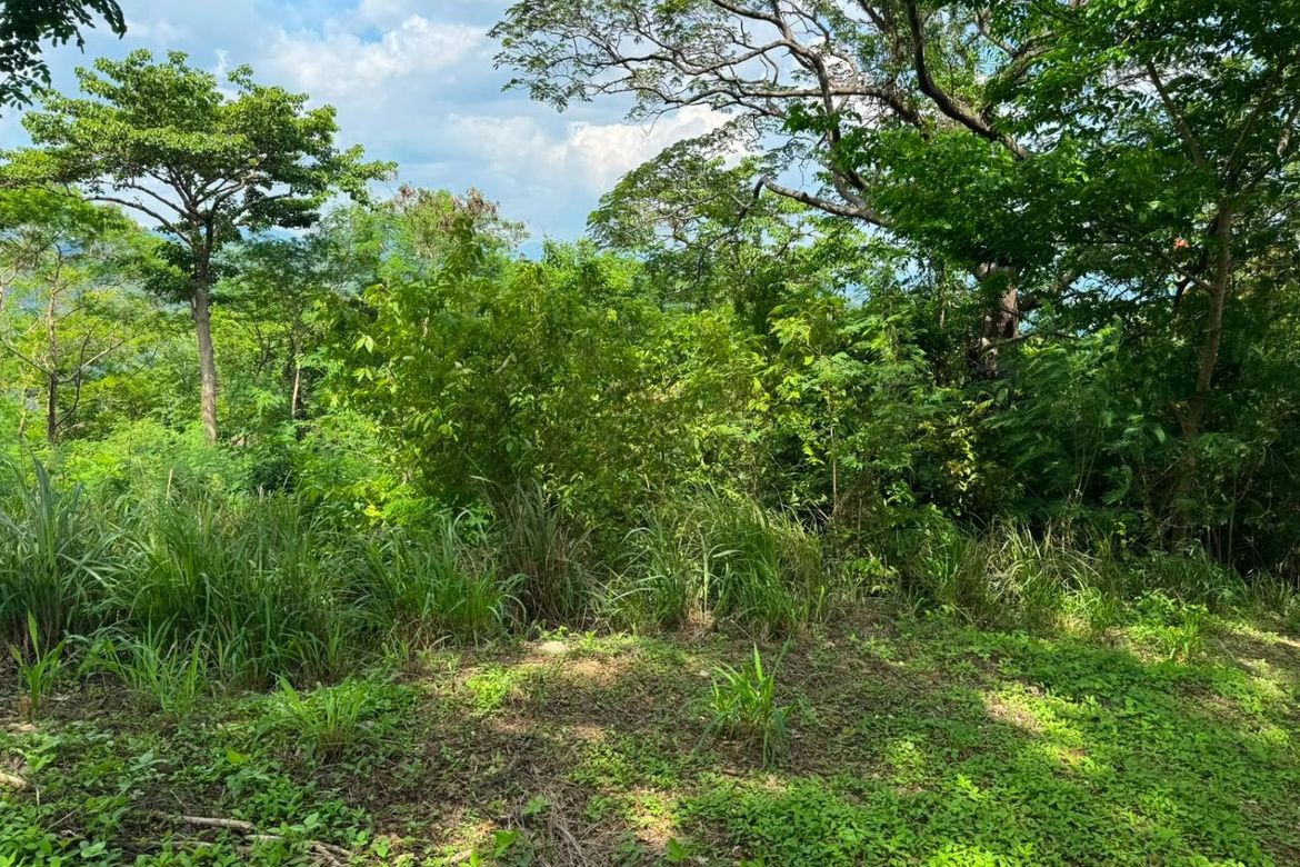 Land for Sale in Natipuan, Nasugbu, Batangas – photo 4
