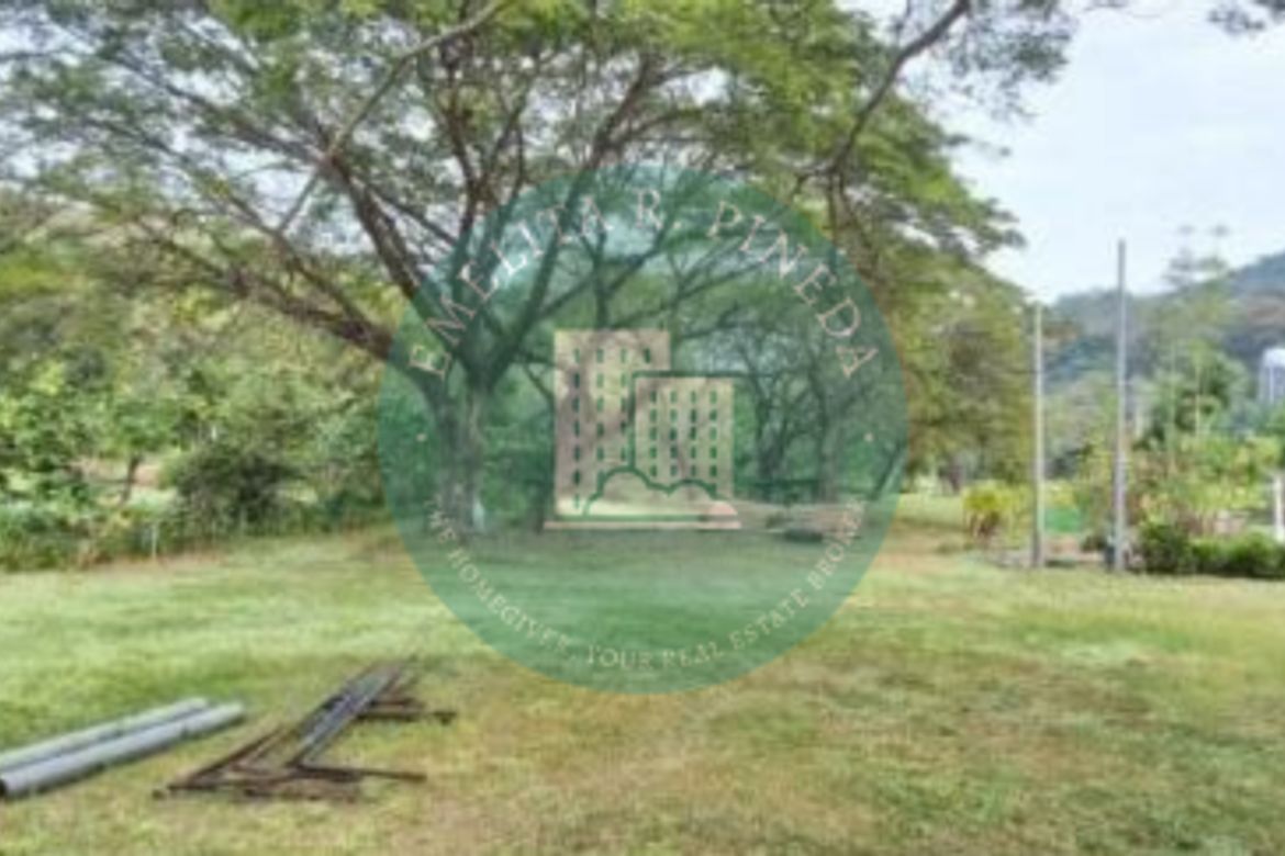 Land for Sale in Natipuan, Nasugbu, Batangas
