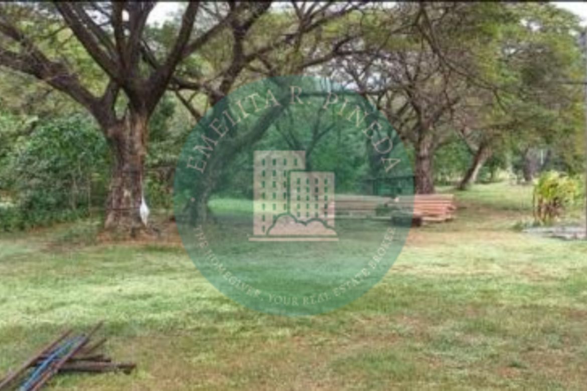 Land for Sale in Natipuan, Nasugbu, Batangas – photo 2