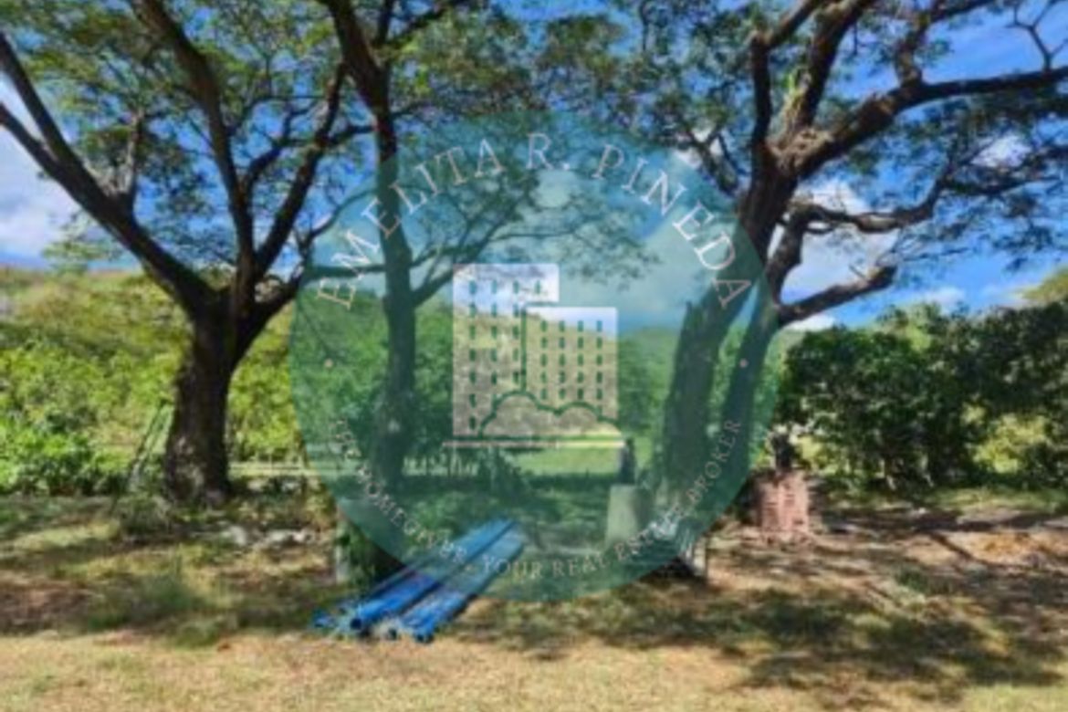Land for Sale in Natipuan, Nasugbu, Batangas – photo 3