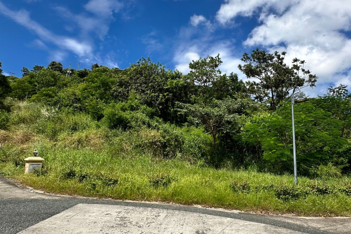 Land for Sale in Natipuan, Nasugbu, Batangas – photo 2