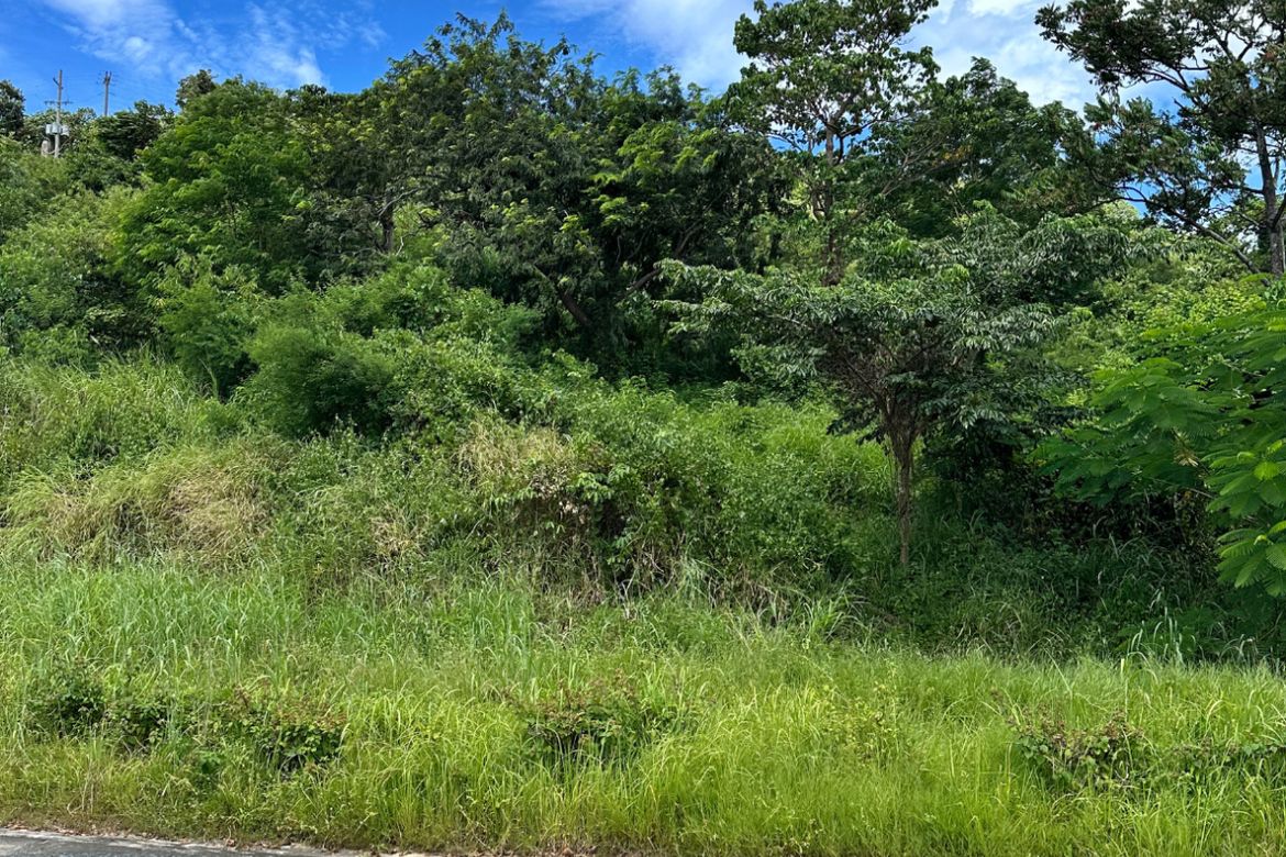 Land for Sale in Natipuan, Nasugbu, Batangas – photo 4